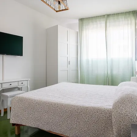 Levante96 ボローニャ